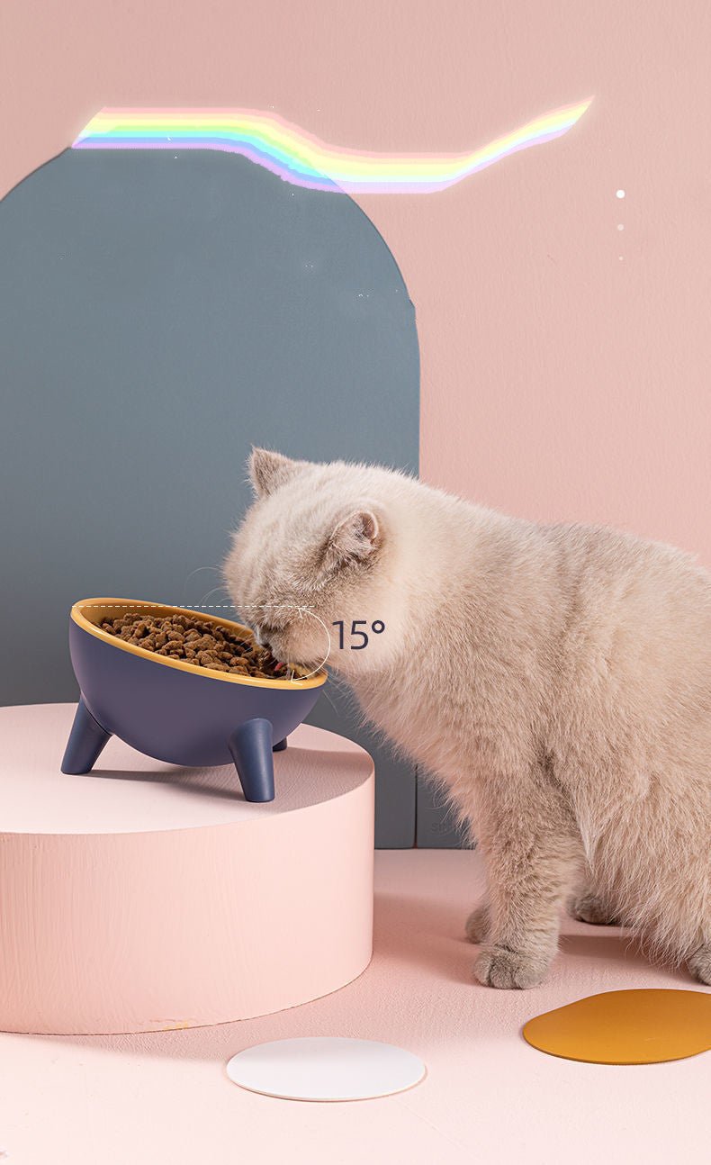 Cat Dog Bowl With Stand Pet Feeding Food Bowls Dogs Bunny Rabbit Nordic Color Feeder Product Supplies Pet Accessories - Cozypaws.fitCat FurnitureCozypaws.fitCJMY112775201AZMoff green3b0eb147fd8396d2d46fb4ca3047abd6