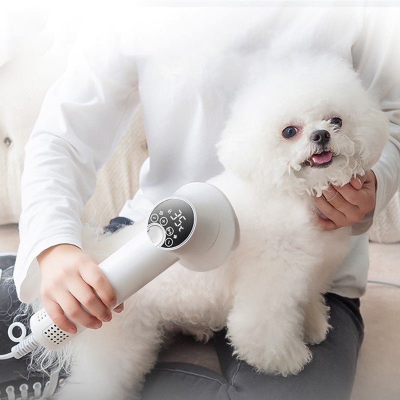 Smart Pet Hair Dryer Dog Golden Retriever Cat Grooming Hairdressing Blow & Comb Silent No Harm Pet Cleaning Supplies Pet Products - Cozypaws.fitCat FurnitureCozypaws.fitCJMY175296007GTPurpleAU9cdad2d3acdd547ab7239a9a5383f188