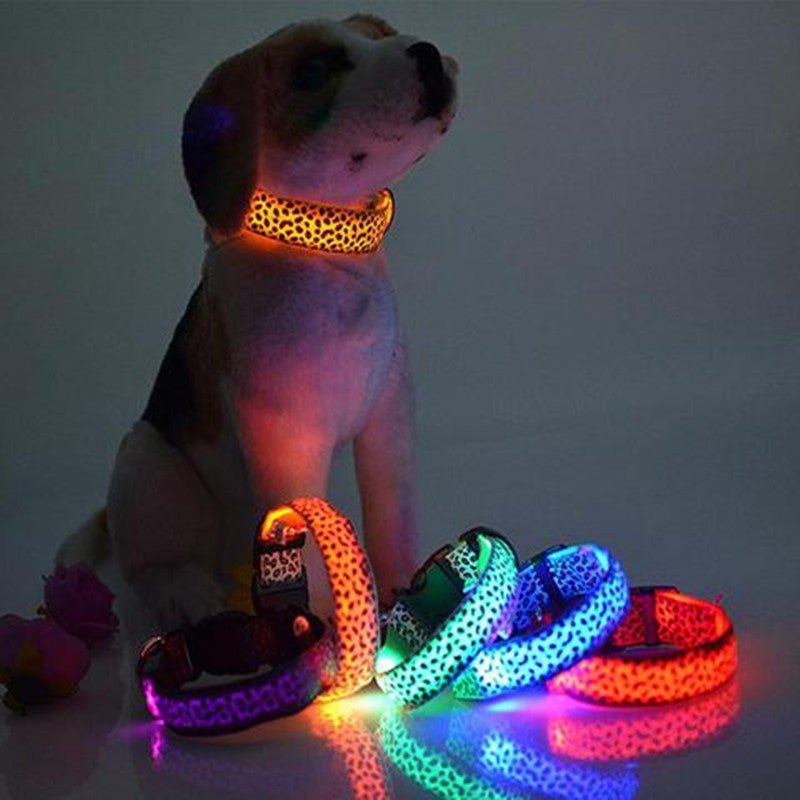 LED Dog Collar Safety Adjustable Nylon Leopard Pet Collar - Cozypaws.fitCat FurnitureCozypaws.fitCJJJCWGX00001-L-BlueLBluecf40879998fe29b1db456cd3183d81b6