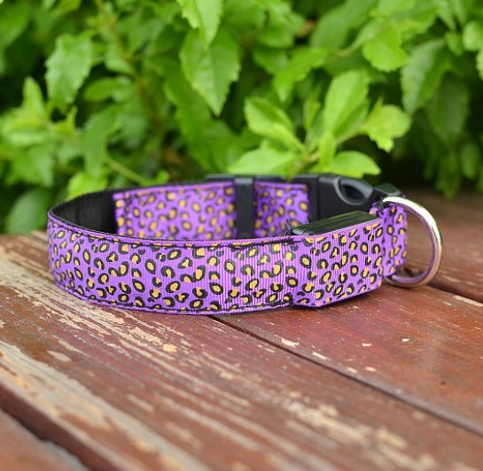 LED Dog Collar Safety Adjustable Nylon Leopard Pet Collar - Cozypaws.fitCat FurnitureCozypaws.fitCJJJCWGX00001-L-PurpleLPurplef9f38adad0fb63458c223ce5aee08b0c