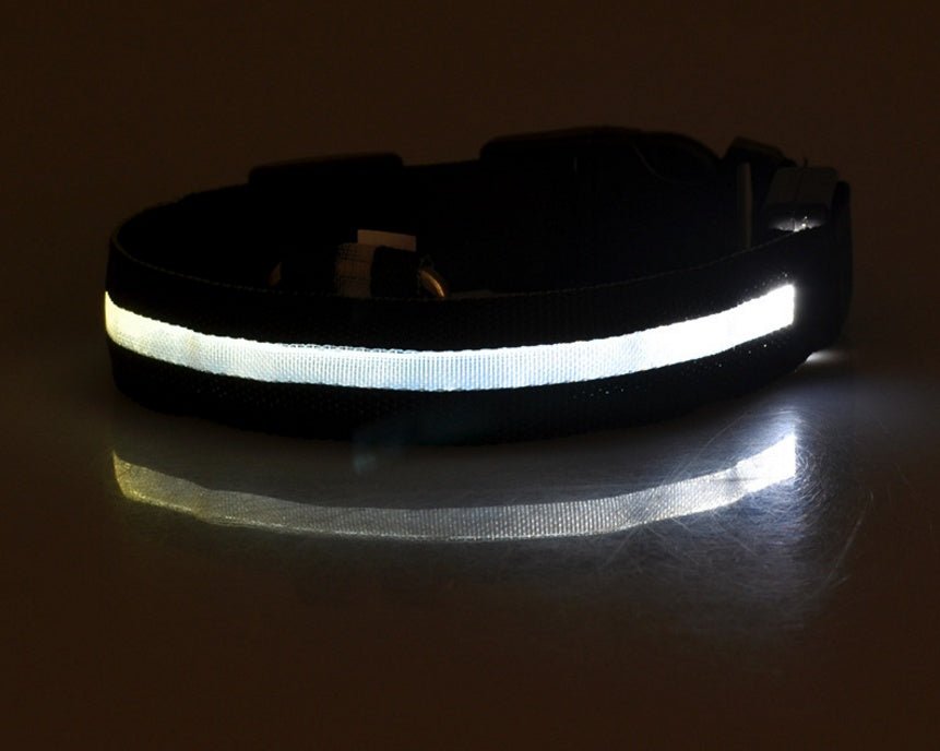 Nylon LED Pet Dog Luminous Collar Night Safety Flashing Glow in Dark Dog Cat Leash Adjustable Pet Supplies - Cozypaws.fitCat FurnitureCozypaws.fitCJJJCWGY00032-white-L-batterywhiteLbattery4d96e98332c51b35fde22d19e1789818