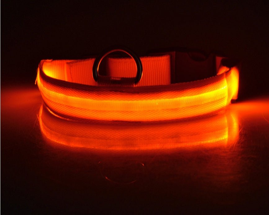 Nylon LED Pet Dog Luminous Collar Night Safety Flashing Glow in Dark Dog Cat Leash Adjustable Pet Supplies - Cozypaws.fitCat FurnitureCozypaws.fitCJJJCWGY00032-orange-L-batteryorangeLbattery99f644585130f7e76b96d5e1b8bb04be