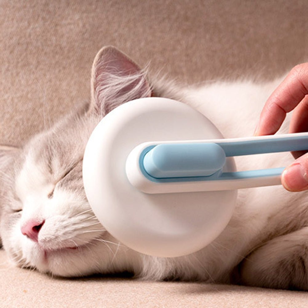 Pet Dog Hair Remover Cat Brush Grooming Tool Automatic Massage Comb Round Hair Brush For Cat Dog Pet Supplies - Cozypaws.fitCat FurnitureCozypaws.fitCJMY112427403CXGreen9ccbf8b0e9284204e009c2b4f7f89153