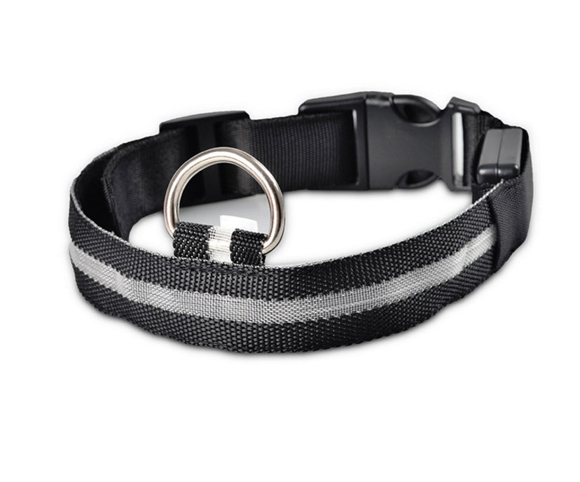 Nylon LED Pet Dog Luminous Collar Night Safety Flashing Glow in Dark Dog Cat Leash Adjustable Pet Supplies - Cozypaws.fitCat FurnitureCozypaws.fitCJJJCWGY00032-white-L-chargablewhiteLchargablea7e4db14044effdbd2cd10d2442c38cf