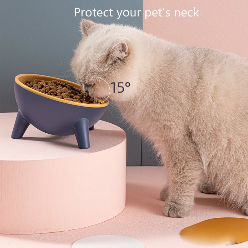 Cat Dog Bowl With Stand Pet Feeding Food Bowls Dogs Bunny Rabbit Nordic Color Feeder Product Supplies Pet Accessories - Cozypaws.fitCat FurnitureCozypaws.fitCJMY112775203CXRose redf677ab2c3f8ec887a3b5e222d923621f