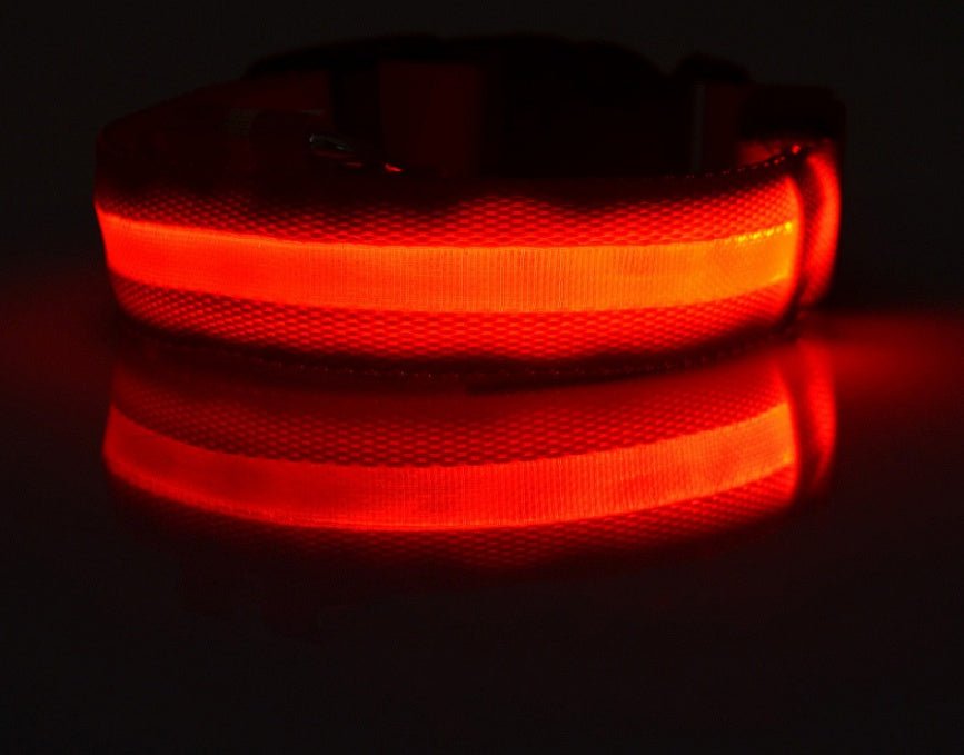 Nylon LED Pet Dog Luminous Collar Night Safety Flashing Glow in Dark Dog Cat Leash Adjustable Pet Supplies - Cozypaws.fitCat FurnitureCozypaws.fitCJJJCWGY00032-red-L-batteryredLbattery40da6f09f5e4b6c6639c96fae2a69184