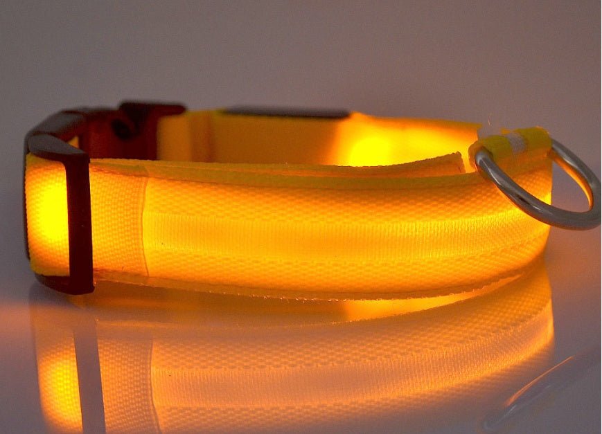 Nylon LED Pet Dog Luminous Collar Night Safety Flashing Glow in Dark Dog Cat Leash Adjustable Pet Supplies - Cozypaws.fitCat FurnitureCozypaws.fitCJJJCWGY00032-yellow-L-batteryyellowLbattery6fd4017431cb98416ea543b91aab1dfa