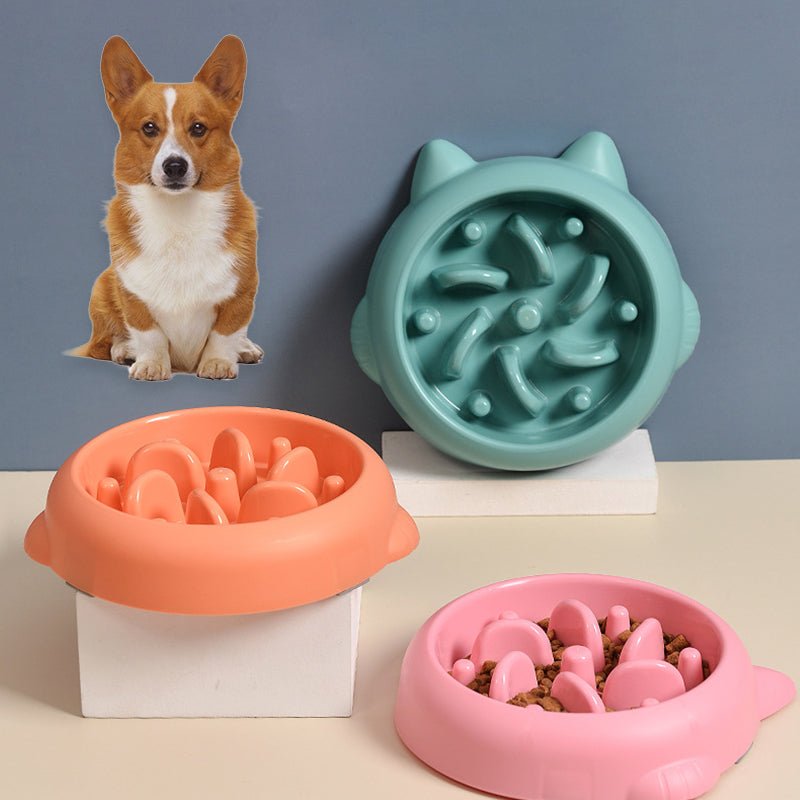 Pet Dog Cat Slow Feeder Bowls Anti Choking Slow Feeder Dish Bowl Home Dog Eating Plate Anti Gulping Bowl Supplies - Cozypaws.fitCat FurnitureCozypaws.fitCJGY174846501AZGreene43ad4fa14b90afbbfea04cbb66aec8b
