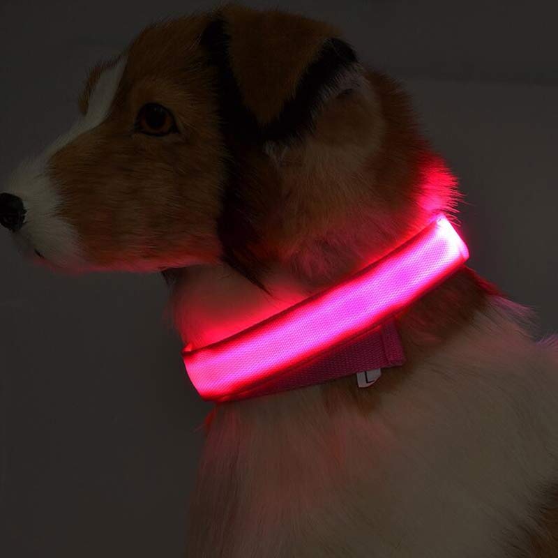 Nylon LED Pet Dog Luminous Collar Night Safety Flashing Glow in Dark Dog Cat Leash Adjustable Pet Supplies - Cozypaws.fitCat FurnitureCozypaws.fitCJJJCWGY00032-Seven colors-L-BatterySeven colorsLBattery132ab6b66736efc8d506b23e53e0fe96