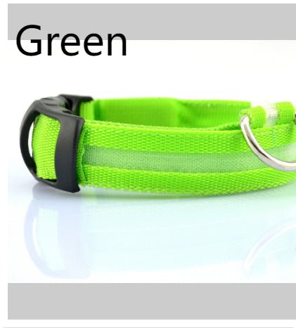 Safety Dog LED Collar - Cozypaws.fitCat FurnitureCozypaws.fitCJYDYDYD00141-Green-MGreenMce1f510ff66c70155d52b9d9271e1dff