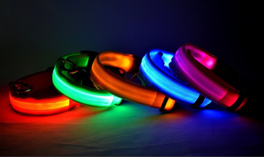 Nylon LED Pet Dog Luminous Collar Night Safety Flashing Glow in Dark Dog Cat Leash Adjustable Pet Supplies - Cozypaws.fitCat FurnitureCozypaws.fitCJJJCWGY00032-Seven colors-L-BatterySeven colorsLBatterye6ad63073dae73a3a487aa10938f1fcb