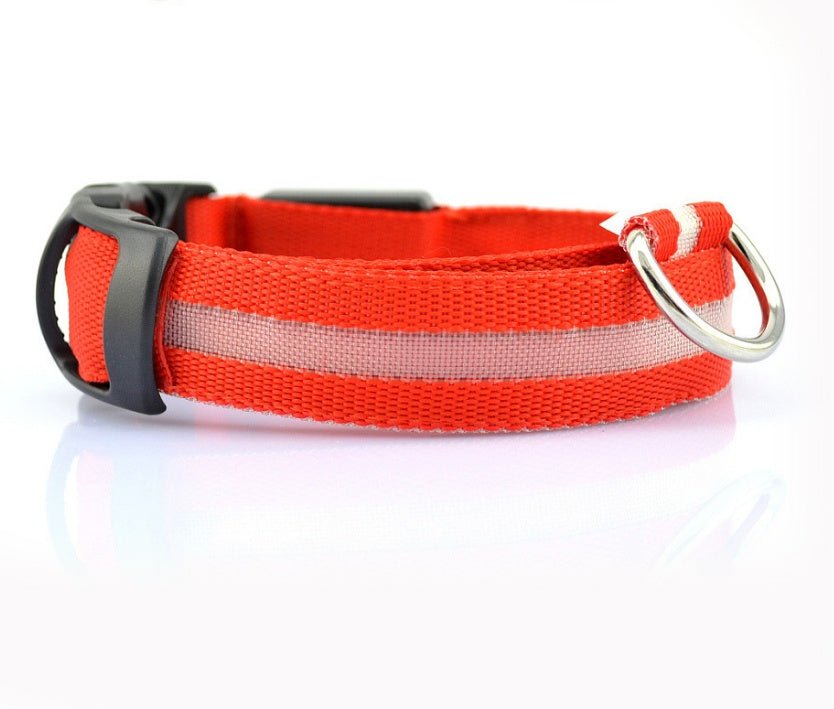 Nylon LED Pet Dog Luminous Collar Night Safety Flashing Glow in Dark Dog Cat Leash Adjustable Pet Supplies - Cozypaws.fitCat FurnitureCozypaws.fitCJJJCWGY00032-red-L-chargableredLchargablebb741513679103d94e726f8c78a97659