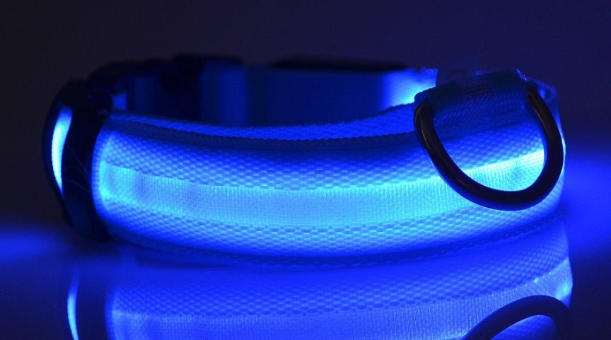 Nylon LED Pet Dog Luminous Collar Night Safety Flashing Glow in Dark Dog Cat Leash Adjustable Pet Supplies - Cozypaws.fitCat FurnitureCozypaws.fitCJJJCWGY00032-Seven colors-L-BatterySeven colorsLBatteryb2f5c1ff8e66136bc2dfec37b813e89e