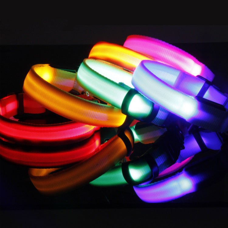 Safety Dog LED Collar - Cozypaws.fitCat FurnitureCozypaws.fitCJYDYDYD00141-Black-LBlackLb387909b74e33709644be13cfec41d0