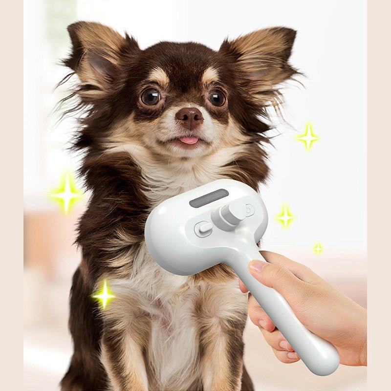 Pet Comb Self Cleaning Pets Hair Remover Brush For Dogs Grooming Tools Dematting Comb Built-in Mist Humidifier Pet Products - Cozypaws.fitCat FurnitureCozypaws.fitCJMY171222914NMRK56USBBlackb8bb6c1348cf173907160f47312177d3