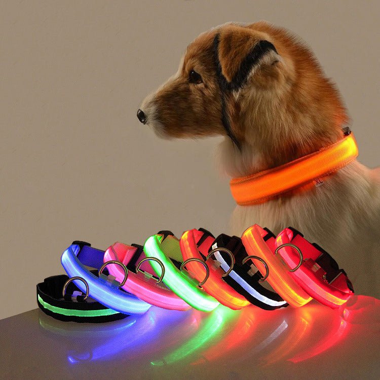 Safety Dog LED Collar - Cozypaws.fitCat FurnitureCozypaws.fitCJYDYDYD00141-Black-LBlackL47da29ee88d6bf9d170ed69a432a1d62