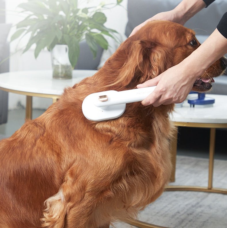 Pet Comb Cat Dog To Remove Floating Hair Pet Hair Brush Hair Removal Artifact Pet Grooming Brush Supplies Self Cleaning Comb Pet Products - Cozypaws.fitCat FurnitureCozyPawsCJGY176027002BYLight Blue660efb51ba8f31ed49e245842eae6596