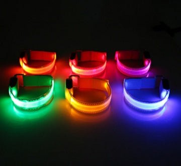 Safety Dog LED Collar - Cozypaws.fitCat FurnitureCozypaws.fitCJYDYDYD00141-Yellow-LYellowLc64c93fa20c07b2c847266b15ecb997b