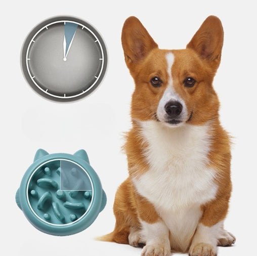 Pet Dog Cat Slow Feeder Bowls Anti Choking Slow Feeder Dish Bowl Home Dog Eating Plate Anti Gulping Bowl Supplies - Cozypaws.fitCat FurnitureCozypaws.fitCJGY174846502BYPinkf1581c0ece26d3b7c332609989845d1d