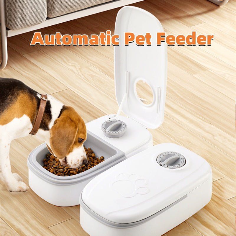 Automatic Pet Feeder Smart Food Dispenser For Cats Dogs Timer Stainless Steel Bowl Auto Dog Cat Pet Feeding Pets Supplies - Cozypaws.fitCat FurnitureCozyPawsCJMY163699602BYGreyDouble meal43552e2d85ca95abb2001b8dfdcf1539
