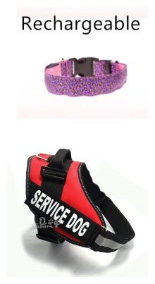 LED Dog Collar Safety Adjustable Nylon Leopard Pet Collar - Cozypaws.fitCat FurnitureCozypaws.fitCJJJCWGX00001-MandM-Pink RechargeableANDRedMandMPink RechargeableANDRed191bba55c28e2cf7d69044417d7ec200