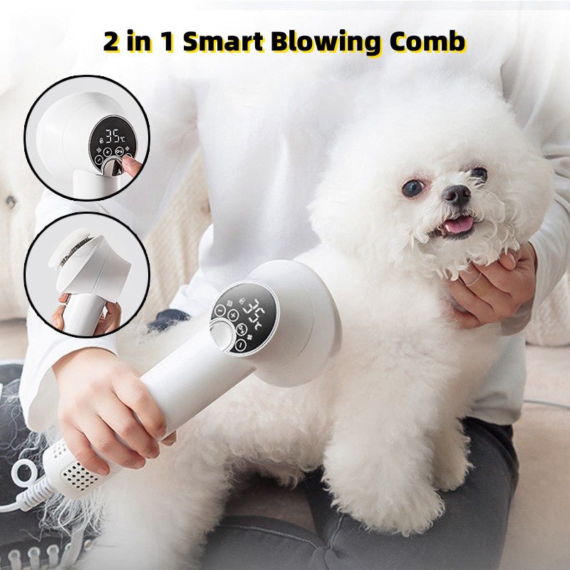 Smart Pet Hair Dryer Dog Golden Retriever Cat Grooming Hairdressing Blow & Comb Silent No Harm Pet Cleaning Supplies Pet Products - Cozypaws.fitCat FurnitureCozypaws.fitCJMY175296007GTPurpleAU3202144cdbd9e9338aa4ef248abd0f21